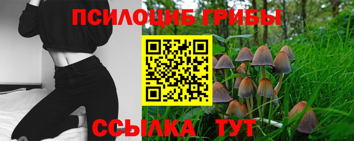 Псилоцибиновые грибы MAGIC MUSHROOMS  наркошоп  Вход с VPN  Сафоново  Галлюциногенные грибы Cubensis 
